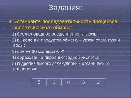 Установите соответствие процессов энергетическому обмену