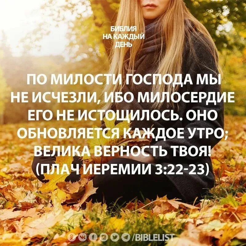 Милость обновляется каждое утро. По милости господа мы не исчезли ибо милосердие его не истощилось. милосердие его не истощилось оно обновляется каждое утро. по милости божьей мы не исчезли библия. милость господа обновляется каждое утро.