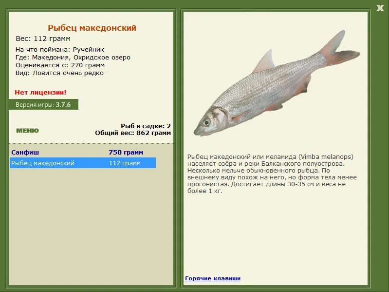 рыбец 64 сайт. рыбец 64 сайт. красивая меча рыбец русская рыбалка 2. магазин рыбец саратов. техническая 3 магазин рыбец.