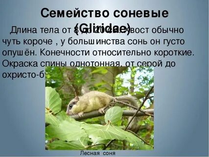 Обычно чуть