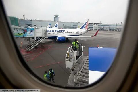 Авиарейсы из сочи в москву