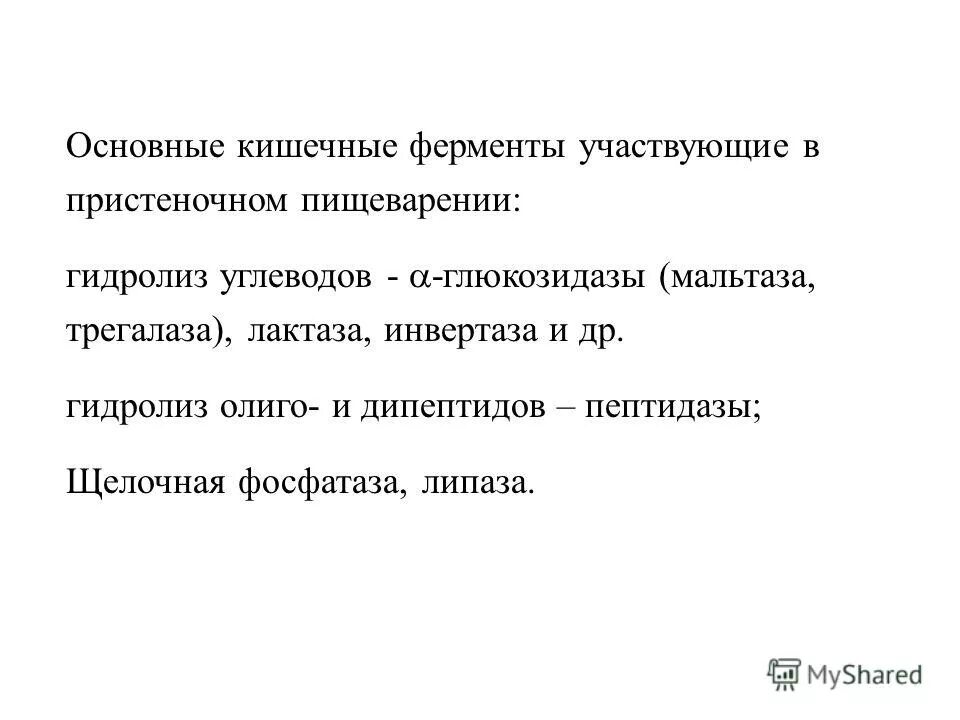 Ферменты участвующие в переваривании углеводов. Ферменты участвующие в пристеночном пищеварении. Основные ферменты, принимающие участие в пристеночном пищеварении. Инвертаза фермент. Пептидазы желудка.