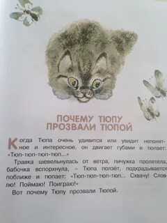 Почему тюпа не ловит птиц читать