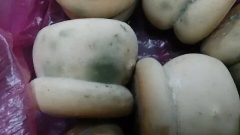 Что делать с просфорой если она заплесневела