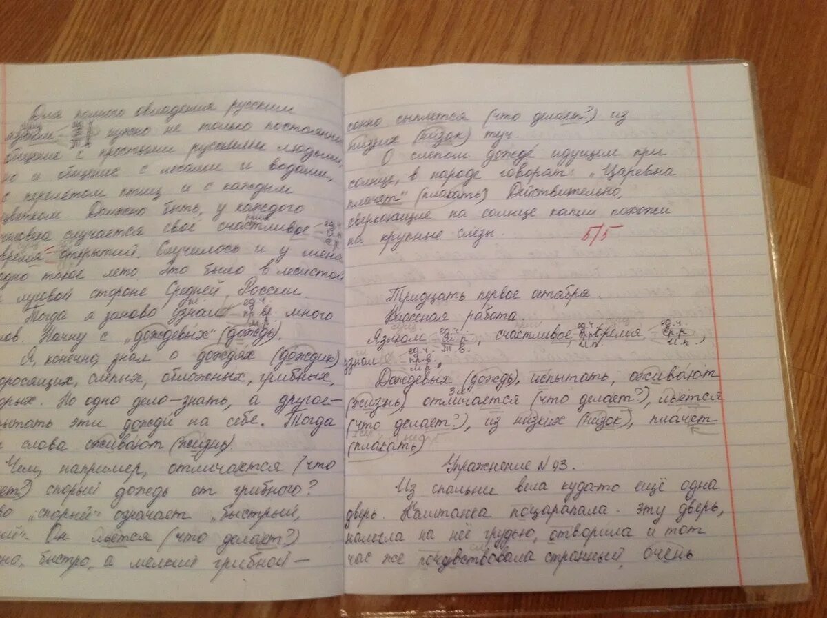 Домашняя работа по русскому языку в тетраде. Тетрадь ученика. Тетрадь для домашних заданий. Эссе в тетради.