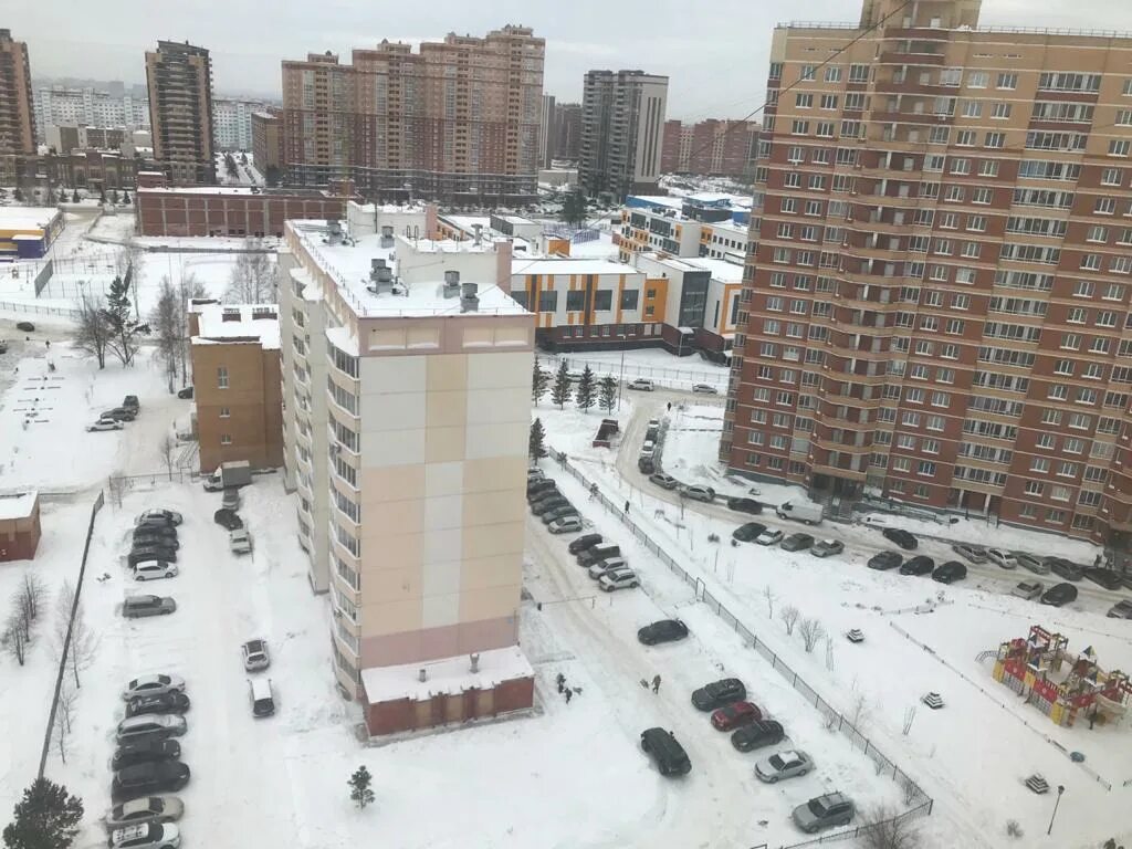 Анима семьи шамшиных