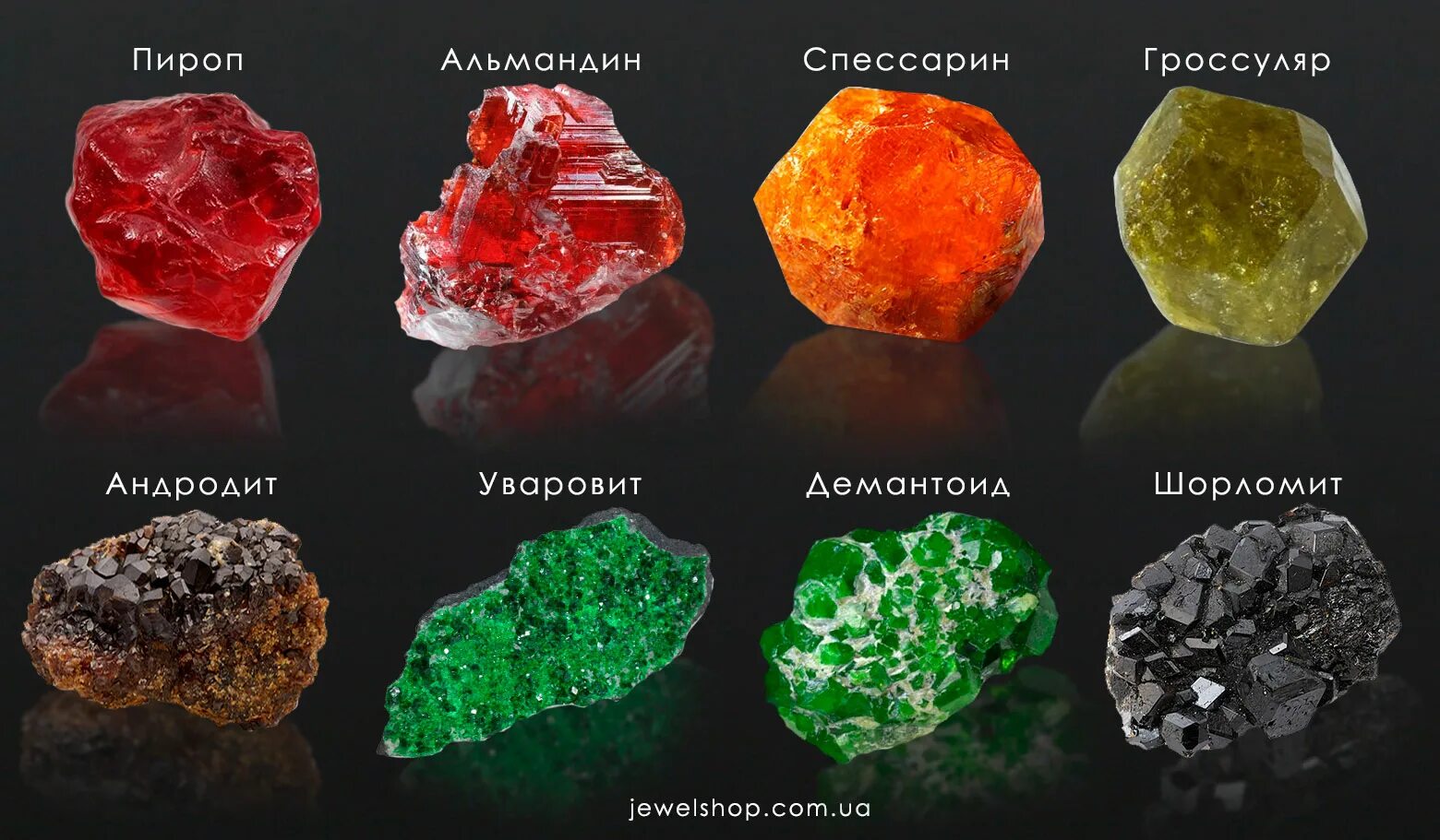 Самая распространенная разновидность гранатов красных оттенков