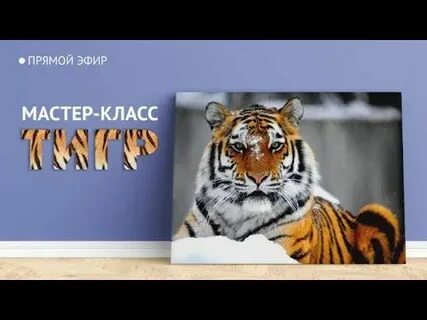 Биология 7 класс с тигром