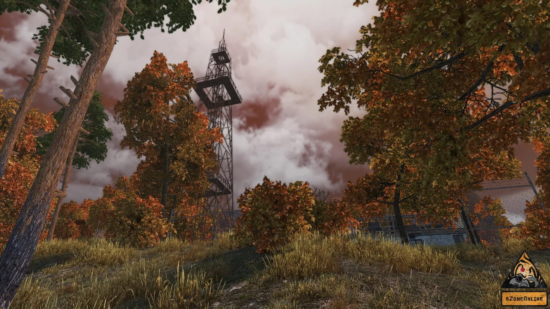 Топь сталкер зов припяти. Сталкер королевская битва. Сталкер рыжий лес арт. Сталкер anomaly 1. Сталкер зов припяти болото.