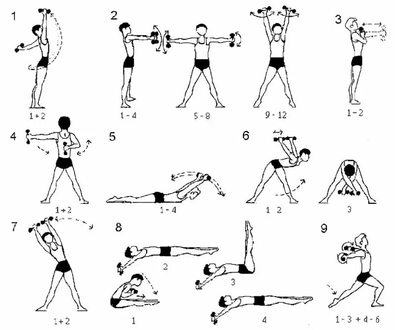 Насколько зарядка. Комплекс упражнений с гантелями (10-12 упражнений). Комплекс общеразвивающих упражнений с гантелями 10-12 упражнений. Упражнения с гантелями для подростков. Комплекс упражнений с гантелями для мальчика 10 лет.