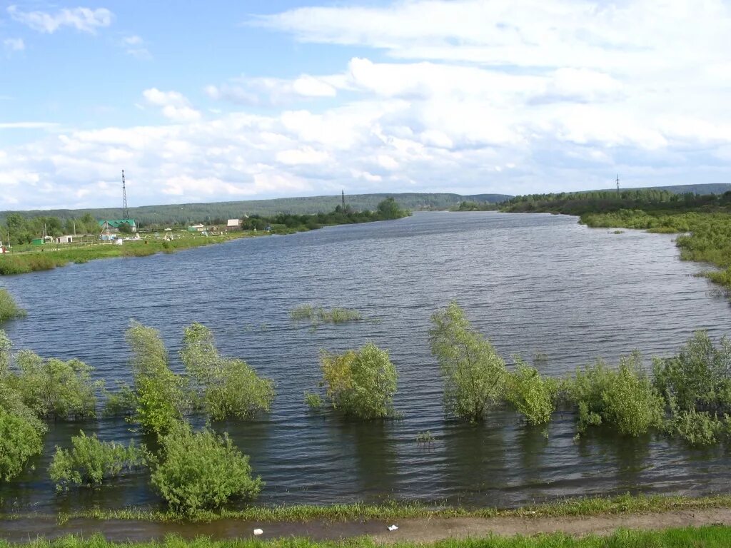 Озеро каламацкое Томск. Озеро Курья Томск. Озеро Сенная Курья. Сенная курья томск