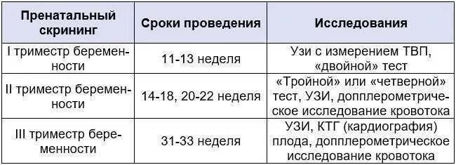 Узи 2 скрининг во сколько недель беременности. В какие сроки беременности проводятся скрининговые узи?. скрининг узи при беременности сроки. скрининги беременности сроки. узи скрининг беременных сроки проведения.