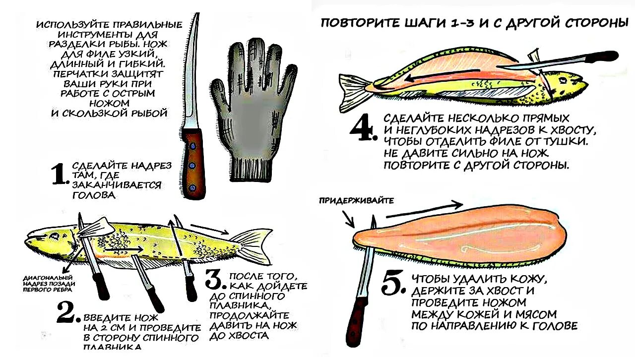 Сколько варить щуку. Обработка рыбы разделка рыбы схема. Схема разделки семги. Схема разделки осетровой рыбы. Схема разделки трески.