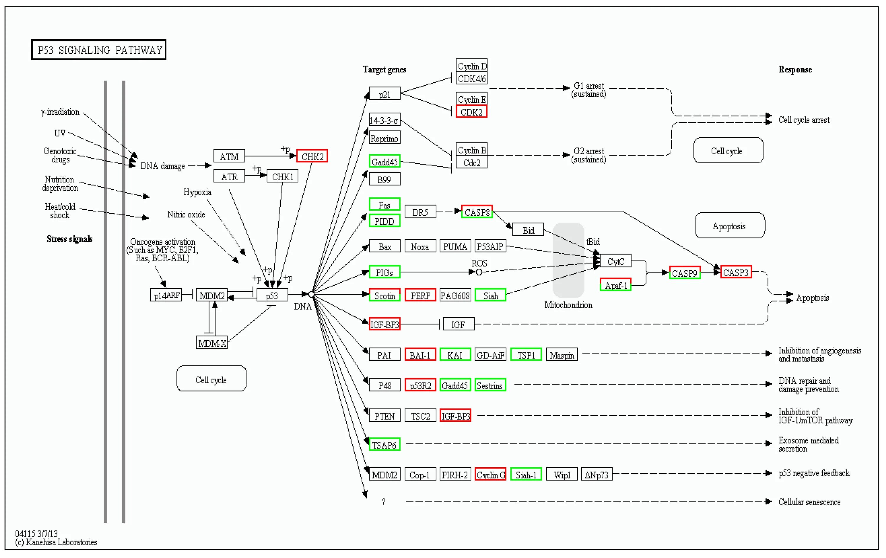 Pathways 2