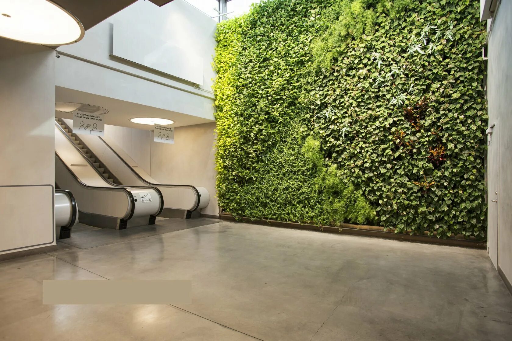 Вертикальное озеленение фитостены. Фитостена бц демидов. Фитостена леруа мерлен. Фитостена эмеральд грин. Фитодизайн фитостены.