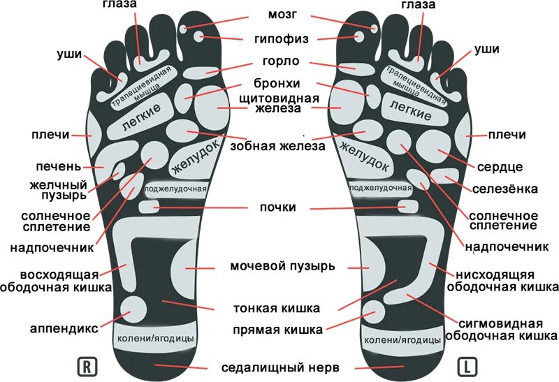 Почему ступня. Акупунктурные точки стопы схема. точки на ступнях отвечающие за органы для массажа. биологически активные точки на стопе. активные точки стопы акупунктура.