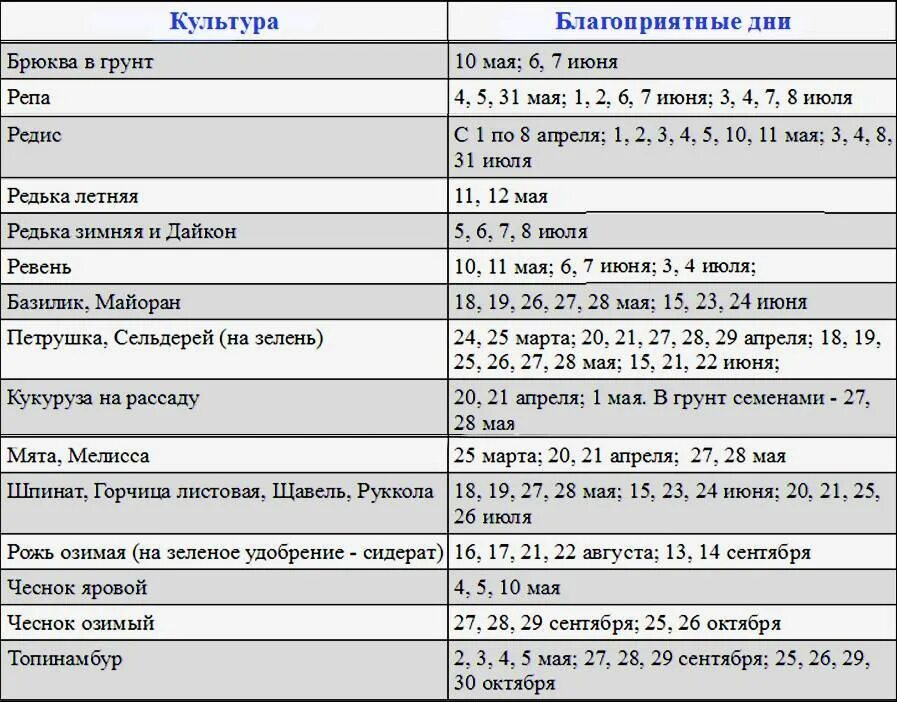 Хорошие дни для посадки чеснока. Благоприятные дни для чеснока. Благоприятные дни для посадки чеснока. Благоприятные дни для высадки чеснока. Посадка чеснока под зиму по лунному календарю.