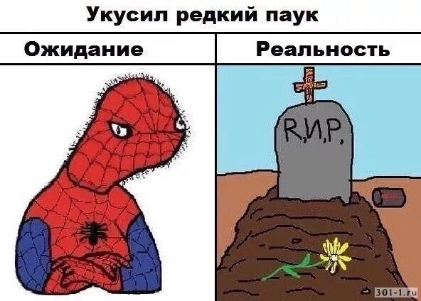 Радиоактивен паук укусил. Укусил паук ожидание реальность. человек паук ожидание реальность. человек паук мемы. укусил радиоактивный паук.