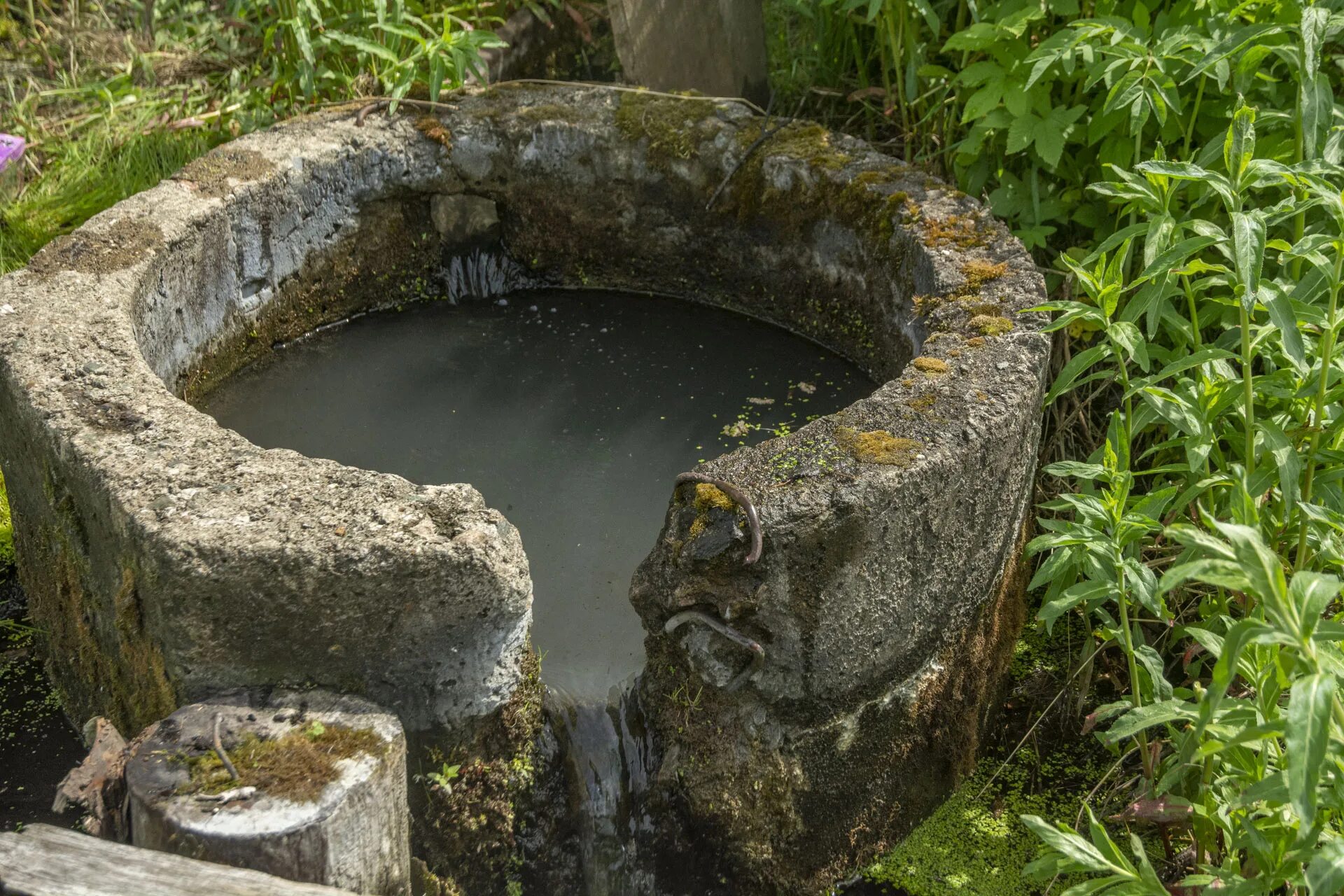 Родниковая вода вода родника. Родник. Вода Родник. Чистый Родник вода. Родниковая вода.