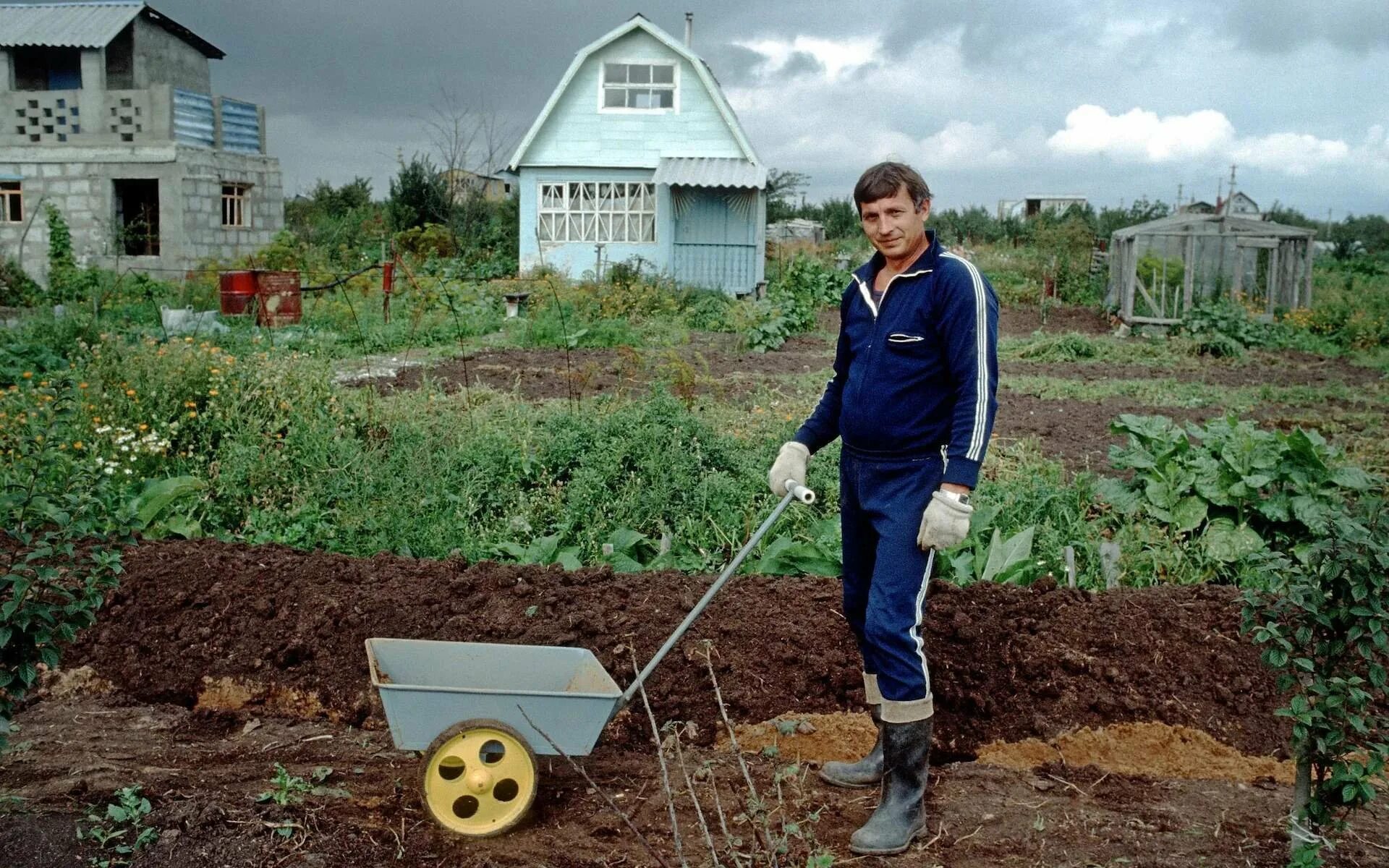 Земля для ведения огородничества. Садовод в огороде. Советские огороды. Дачник на огороде. Люди на огороде.