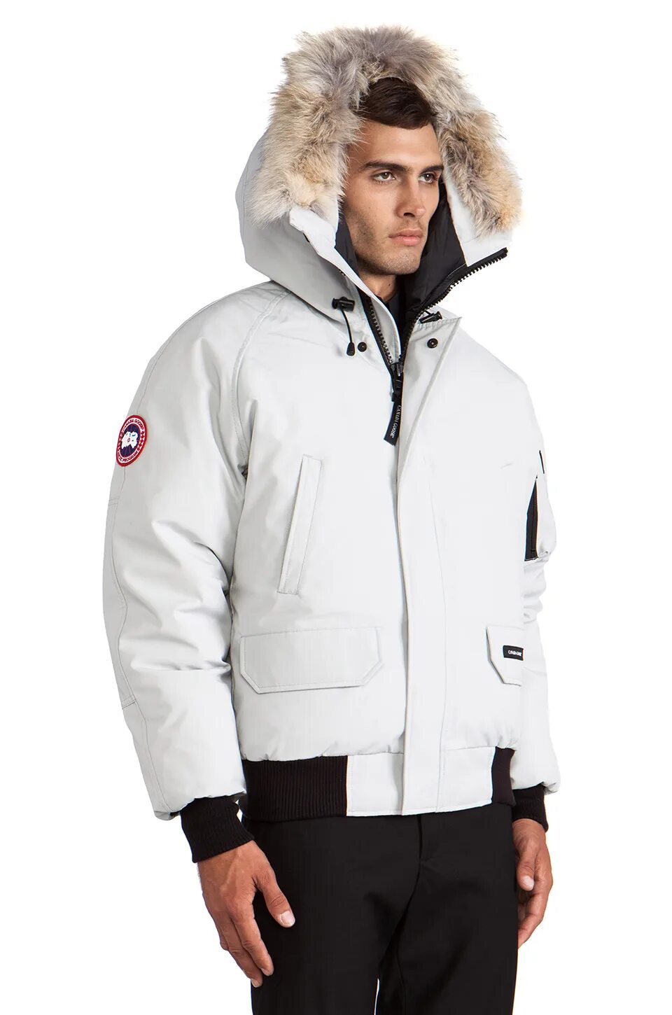 Man goose. Канада гус chilliwack bomber. бомбер canada goose chilliwack. canada goose chilliwack bomber. canada goose мужская куртка бомбер chilliwack.