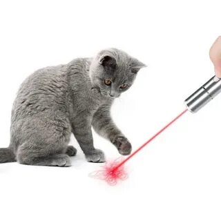 Котик speed