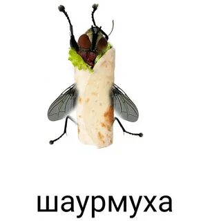 Батутка шаурмуха тигриб