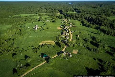 Местность какая 1 класс