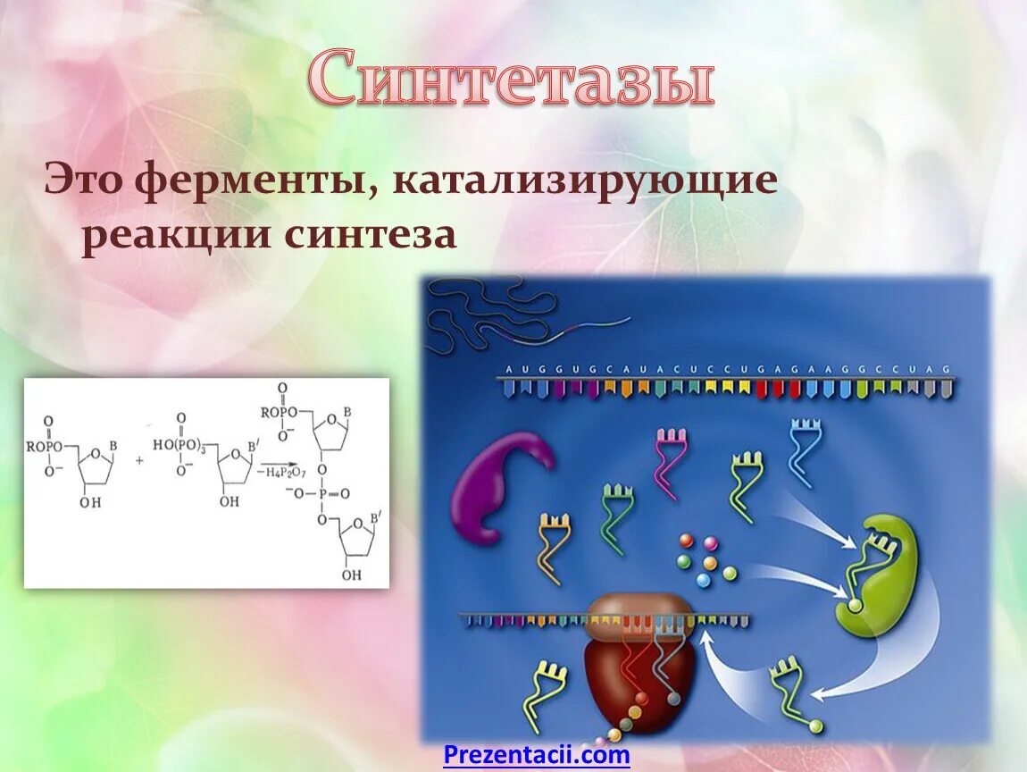 Химическая реакция катализируемая ферментом. Синтетаза класс ферментов. Реакция фермента синтетаза. Фермент синтетаза. Катализируемые реакции ферментов.