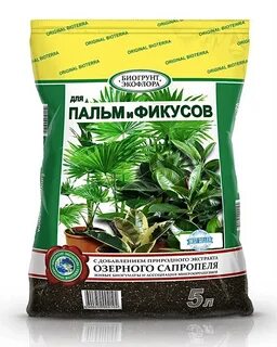 Какая земля для фикусов
