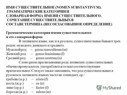 Правильная словарная форма существительного
