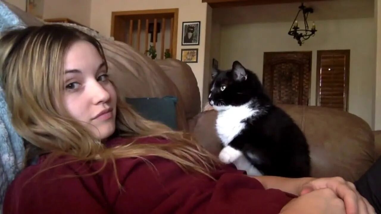 Девушка гладит кота. Вычесывание ковра. Собака для детей. Для детей. Вычесывание ковра.