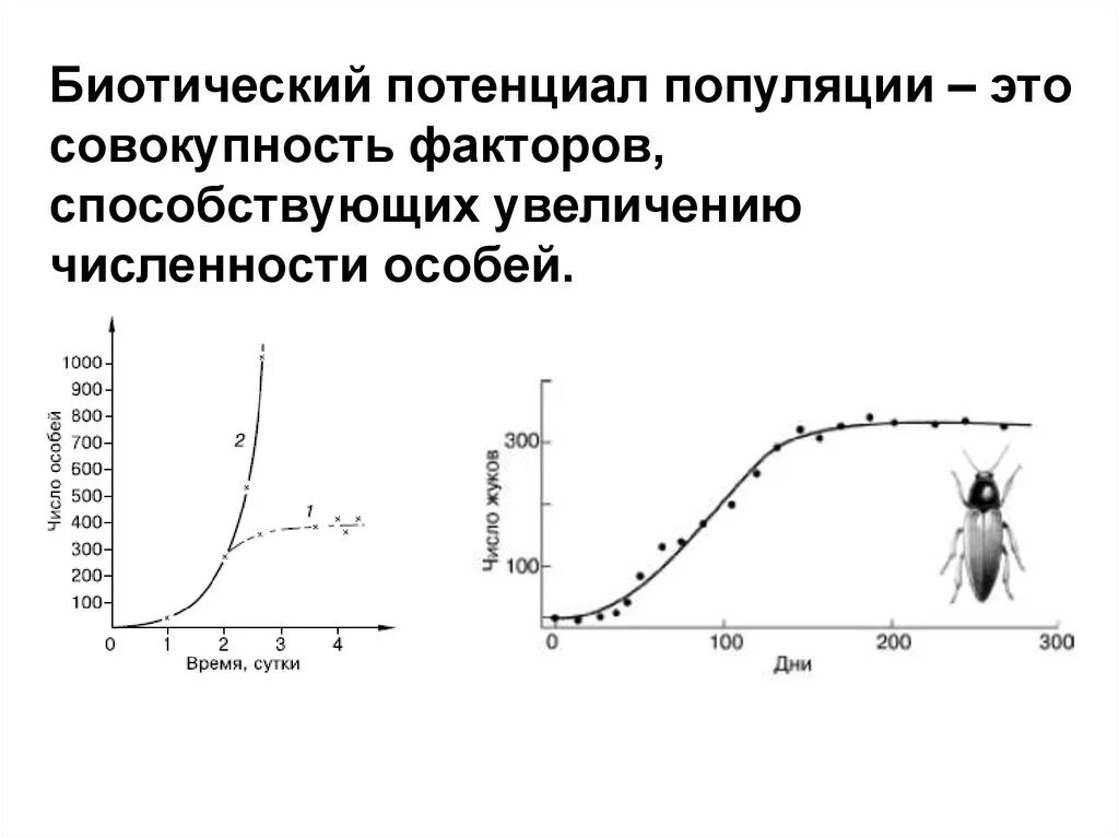 Биотический потенциал популяции. Чепмен биотический потенциал. Биотический потенциал и сопротивление среды. Понятие биотического потенциала популяции.