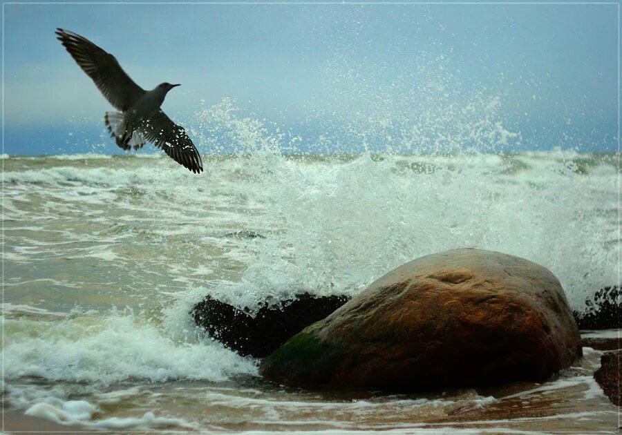 Бушующее море. Чайка смело пролетела над седой волной. Буревестник в море. Чайка смело пролетела над седой волной. Чайка смело пролетела над седой волной.