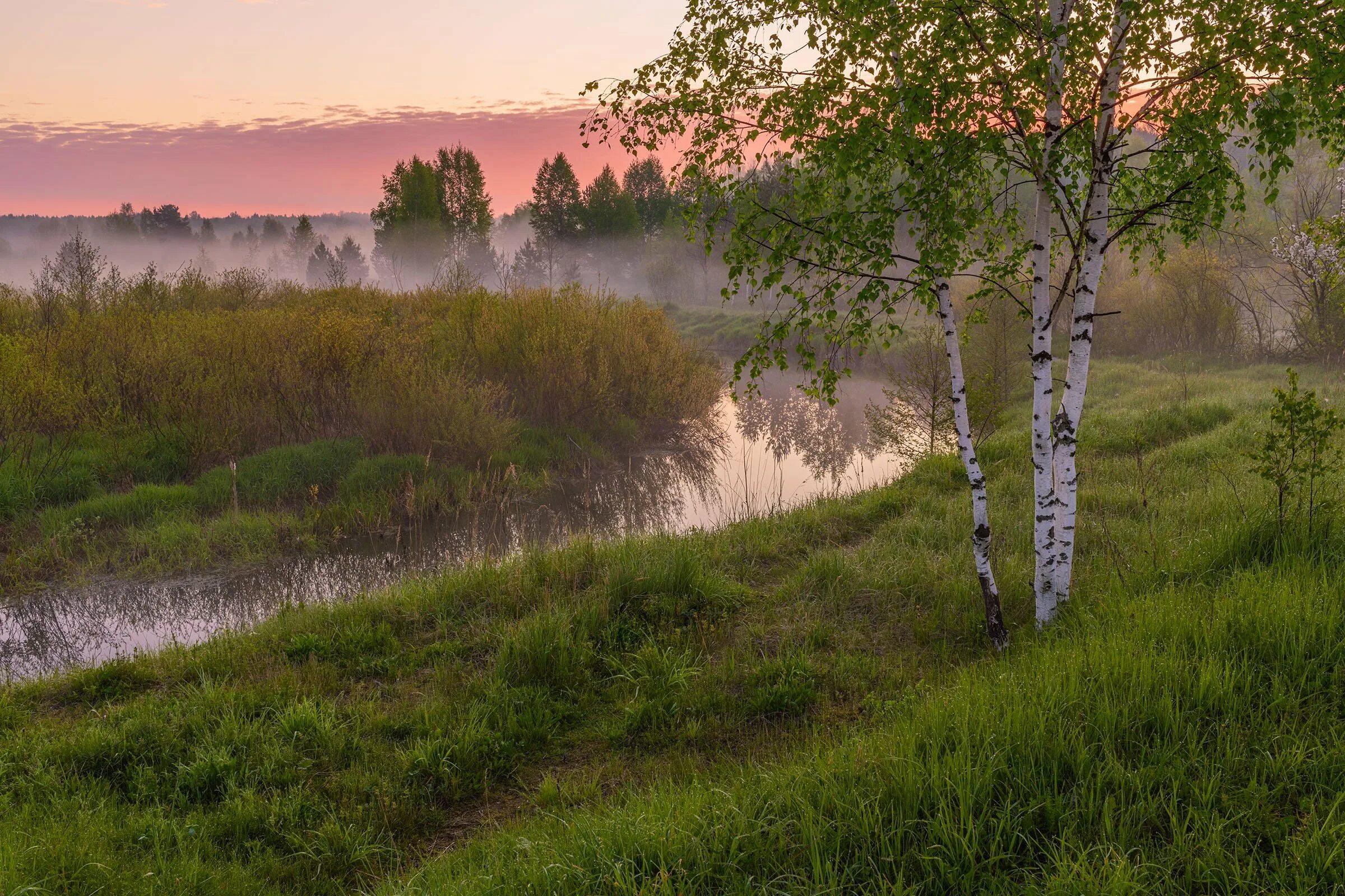 Песня природа природа минус. Река Березка Тверская область. Березка белоствольная склонилась у пруда. Русь природа Нижегородская область. Природа деревня речка Березки.