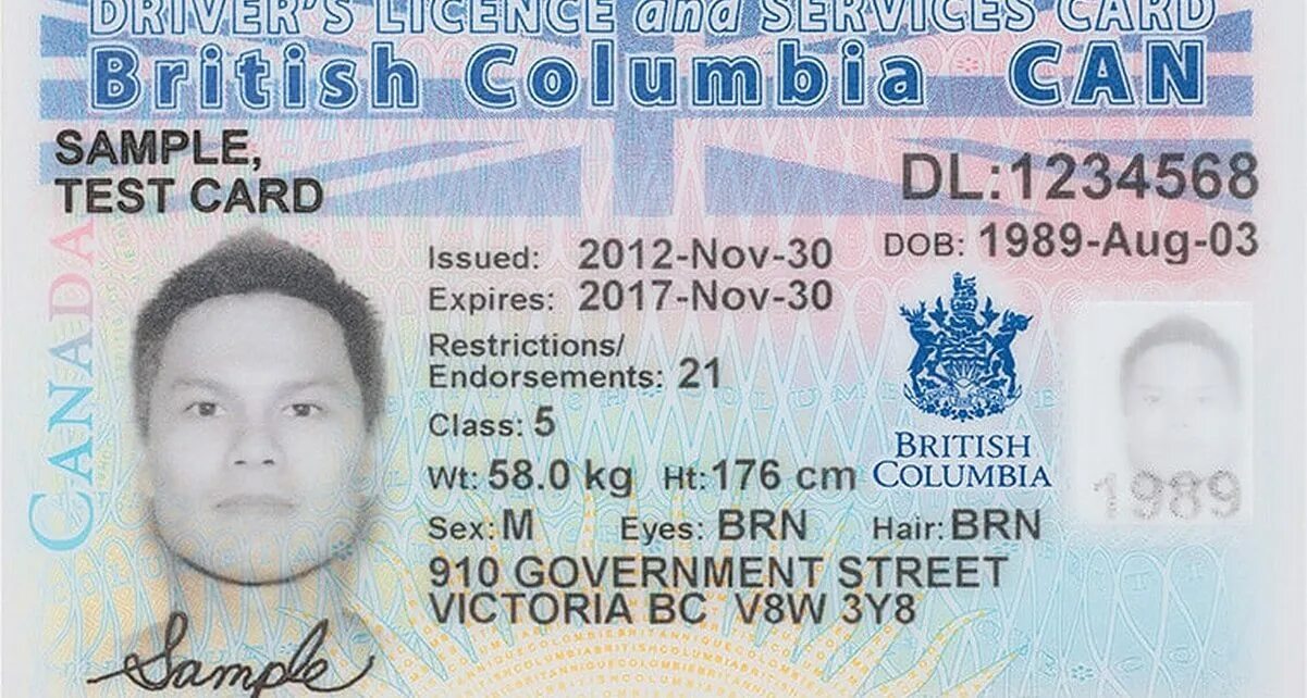 Document card