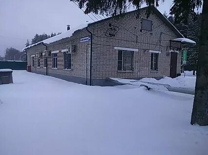 Ветклиника кострома