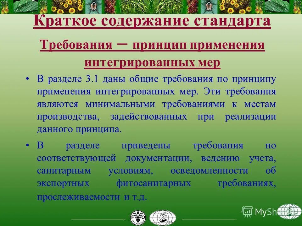 Структура стандарта. Краткое содержание стандарта. Наименование раздела стандарта. Краткое содержание стандарта. Краткое содержание стандарта.