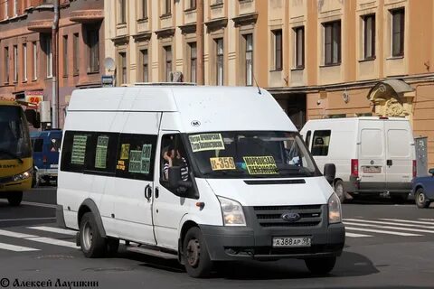 388 автобус спб