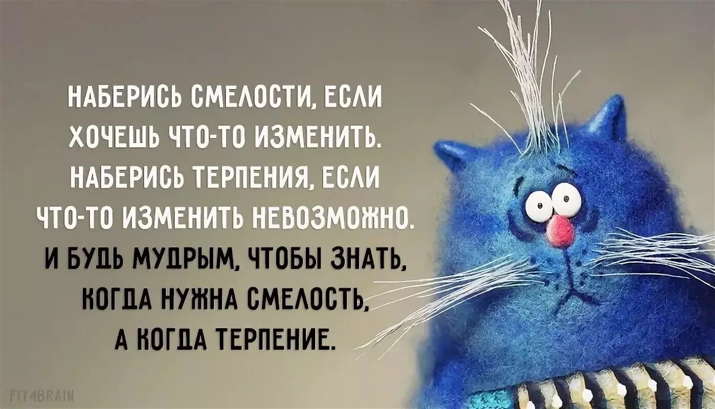 Положительные цитаты. Позитивные высказывания. позитивные цитаты. позитивные фразы. картинки позитивные с цитатами.