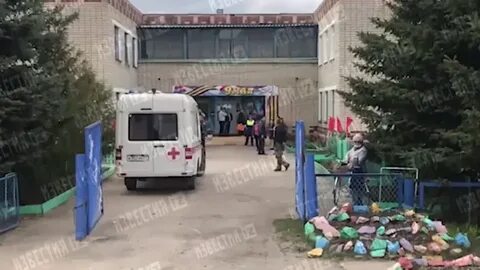 Что случилось в сад