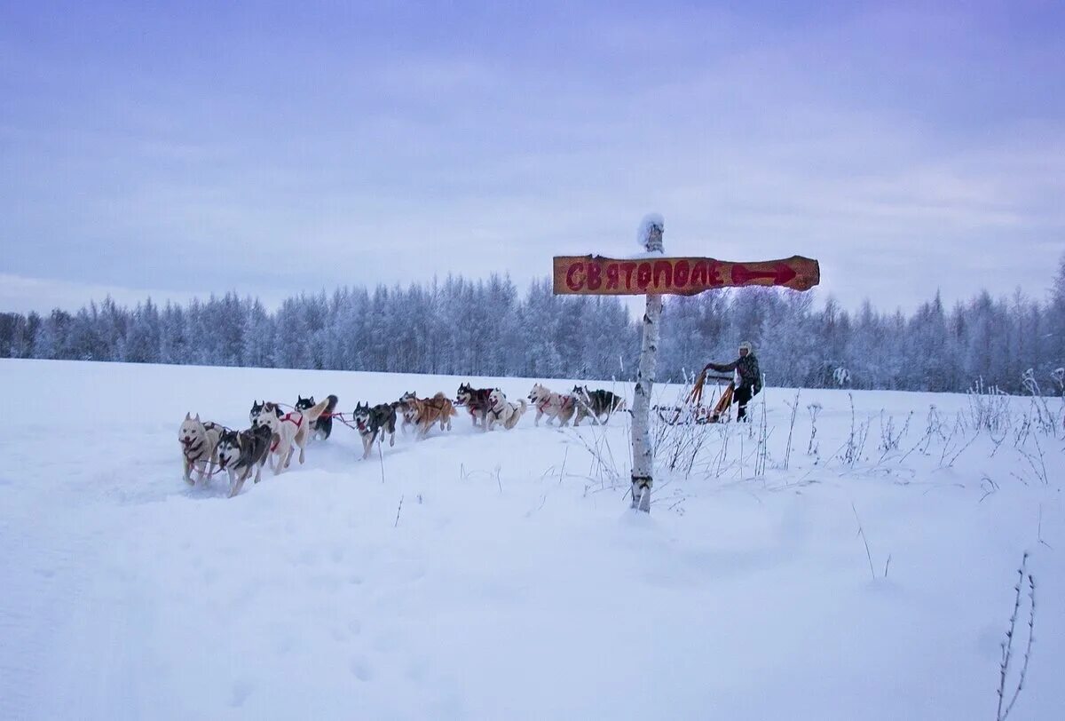 Зарайск животное. Святополе зарайск хаски. зооцентр святополе зарайск. зарайск катание на хаски. ферма святополье.