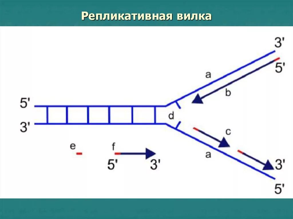 Укажите 3 фрагмента