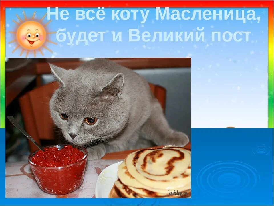 Масленица коты. Не все коту Масленица. Не всё коту Масленица будет и Великий пост. Коту Масленица поговорка. Кот и масленица картинки