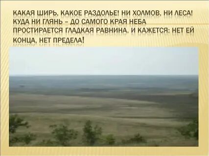 Степи сообщение 4 класс