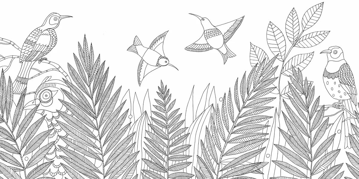 окружающий мир 1 класс стр 64. окружающий мир 1 класс 62 63. учебник плешаков окружающий мир 2. окружающий мир 1 класс 62 63. окружающий мир 1 класс 62 63.