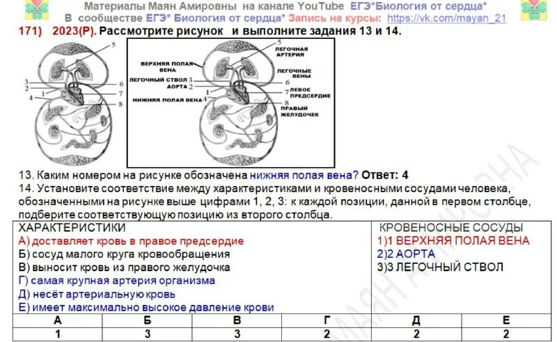 Маян амировна егэ биология от сердца. Биология от сердца егэ по биологии. Где происходит газообмен в легких и тканях. Маян амировна биология от сердца. Маян амировна биология от сердца.