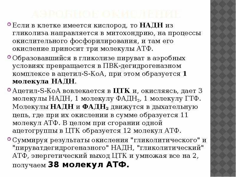 Сколько атф образуется в результате гликолиза. Сколько молекул АТФ образуется в анаэробном гликолизе. Сколько молекул АТФ образуется. Сколько молекул АТФ образуется при гликолизе. Выход АТФ при анаэробном гликолизе.