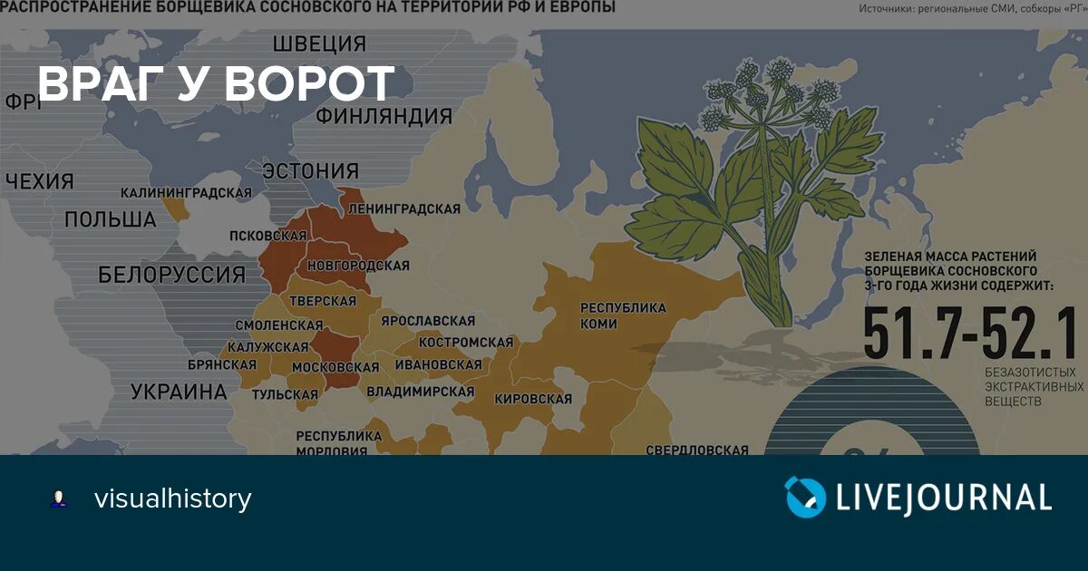 Ареал распространения борщевика сосновского. Карта распространения борщевика сосновского. Борщевик сосновского распространение. Карта распространения борщевика сосновского. Карта борщевика сосновского.
