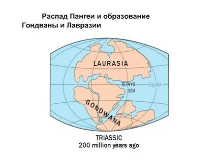 Материки лавразии